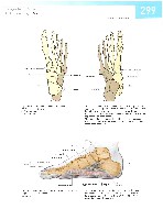 Sobotta  Atlas of Human Anatomy  Trunk, Viscera,Lower Limb Volume2 2006, page 306